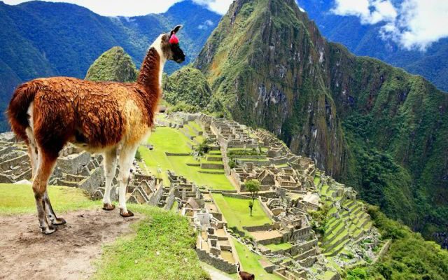 Machu Pichu