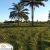 09-Fotos--geral-010619